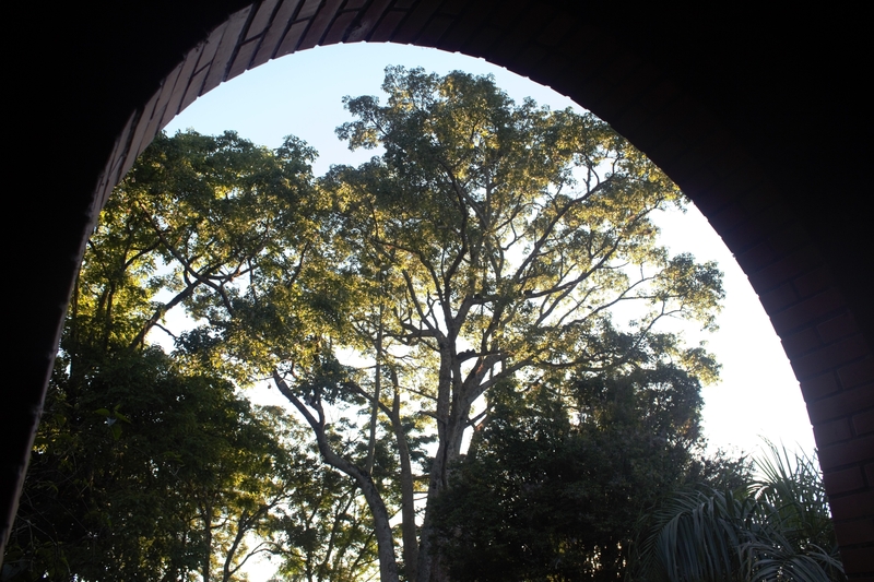 IV Domingo do Advento
